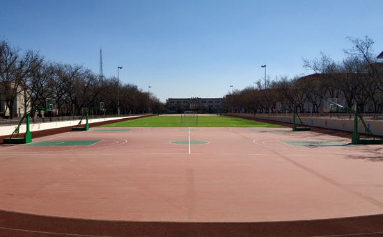 塑膠籃球場(chǎng)人造草足球場(chǎng) 