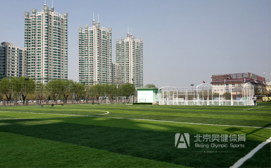 人造草足球場(chǎng)