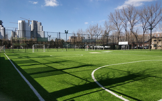 人造草足球場(chǎng)圖片
