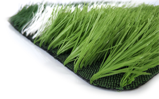 小加筋足球場(chǎng)草坪圖片