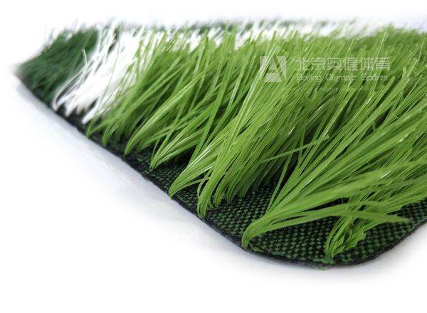 加筋單絲球場草坪