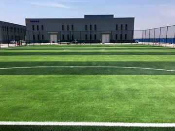 唐山人造草足球場施工工程案例之曹妃甸華美源生物